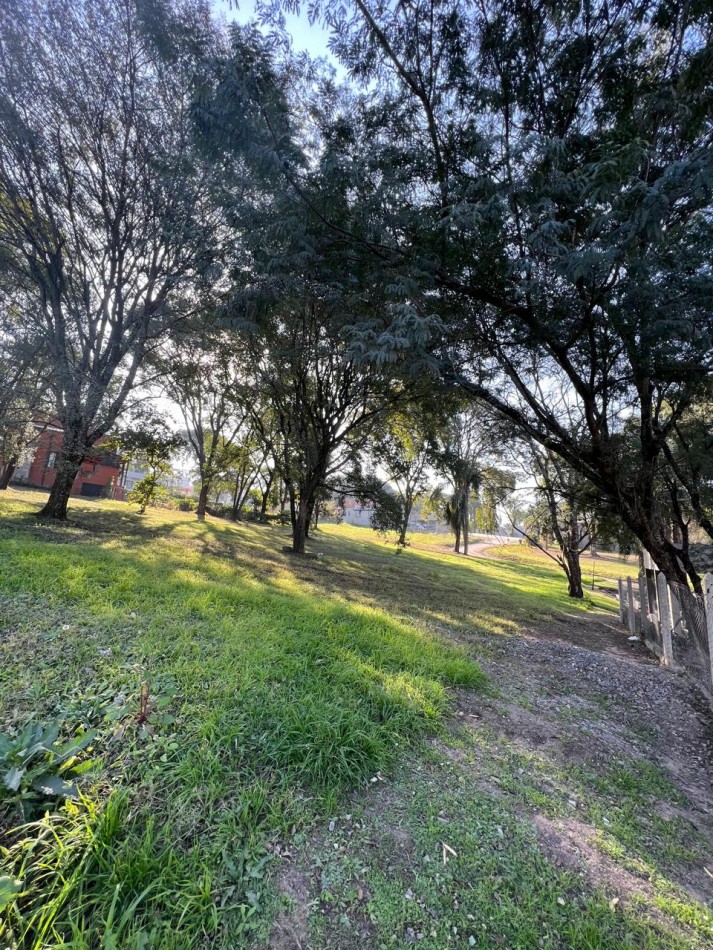 TERRENO EN LA ARBOLEDA