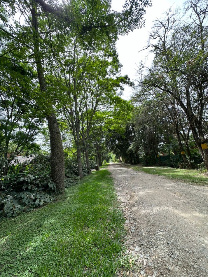 CASA EN EL CORTE, YB