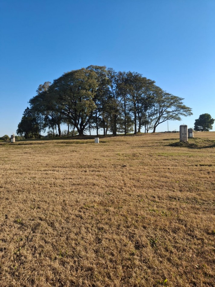 TERRENO EN LA RESERVA 2