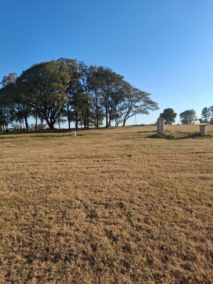 TERRENO EN LA RESERVA 2