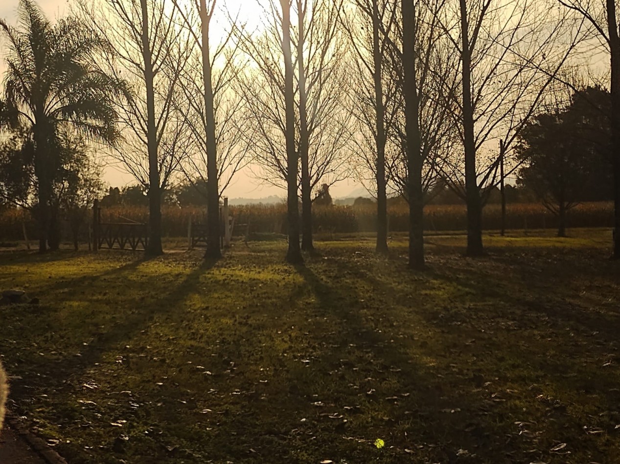 FINCA EN VENTA EN EL TIMBO- TUCUMAN