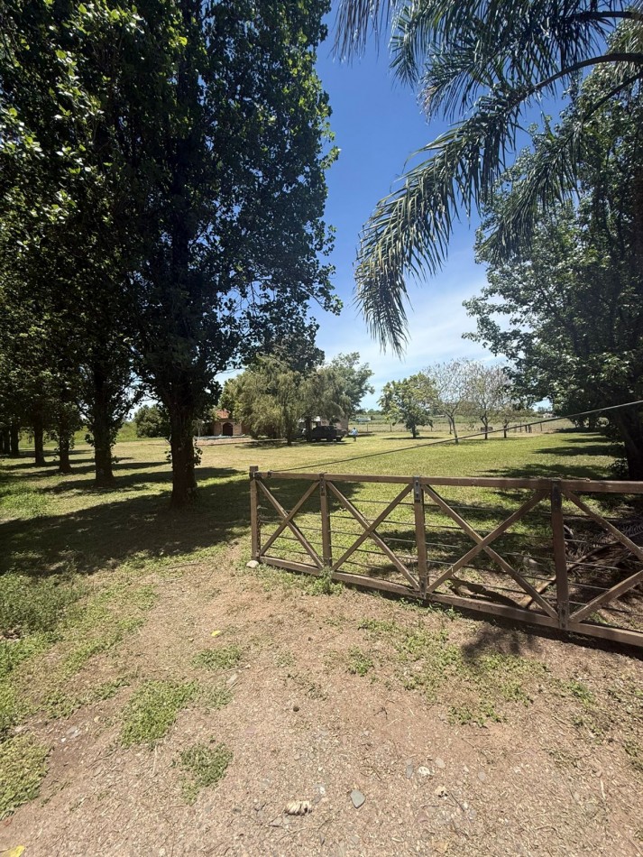 FINCA EN VENTA EN EL TIMBO- TUCUMAN