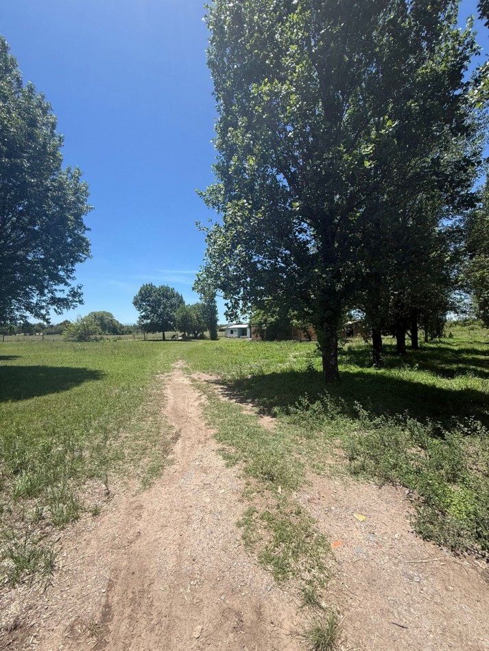 FINCA EN VENTA EN EL TIMBO- TUCUMAN